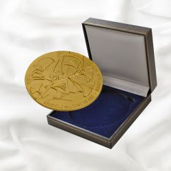 Medailles sapeurs pompiers : des décorations pour les honorer 